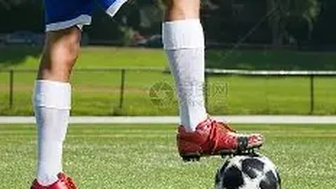 1xbet体育官方网站 资讯 102448 ppm