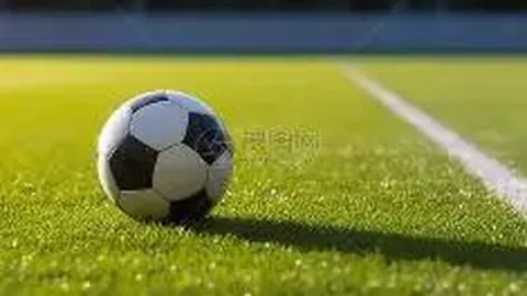 1xbet体育官方网站 资讯 103010 3x4